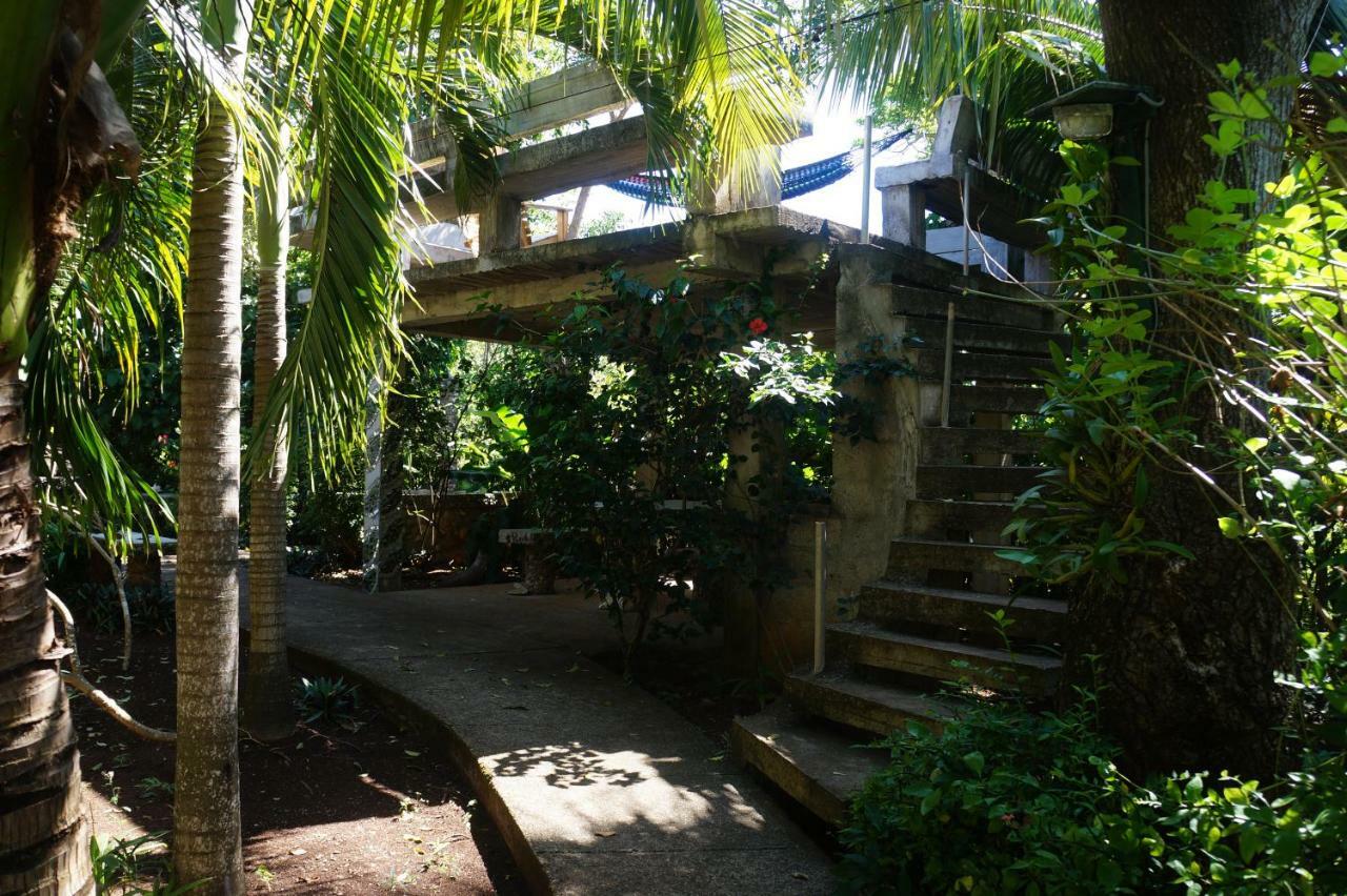 Apartments Chez Milady Utila Bagian luar foto